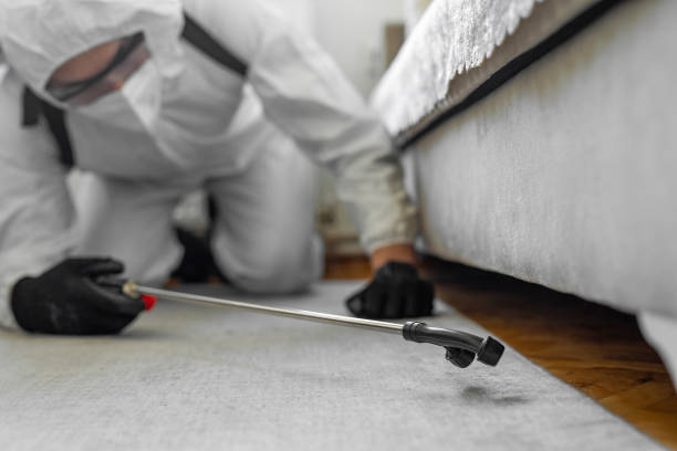 Professional Bed Bug Control technician working in Valley Grande, AL