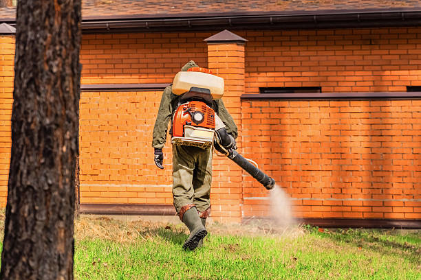 Trusted Mosquito Control service in Valley Grande, AL - Nex Pest Control